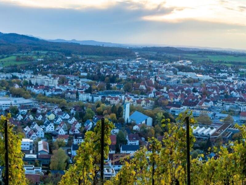 Hier ist Metzingen vom Weinberg aus zu sehen. Im Hintergrund ist die Achalm und es ist Abend. 