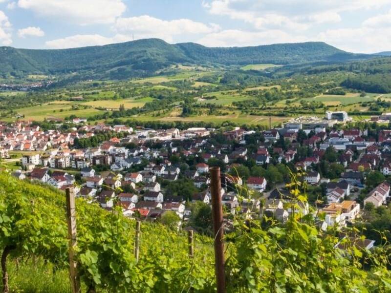 Hier ist Metzingen vom Weinberg aus zu sehen. Der blick geht Richtung Ermstal und Schwäbische Alb.