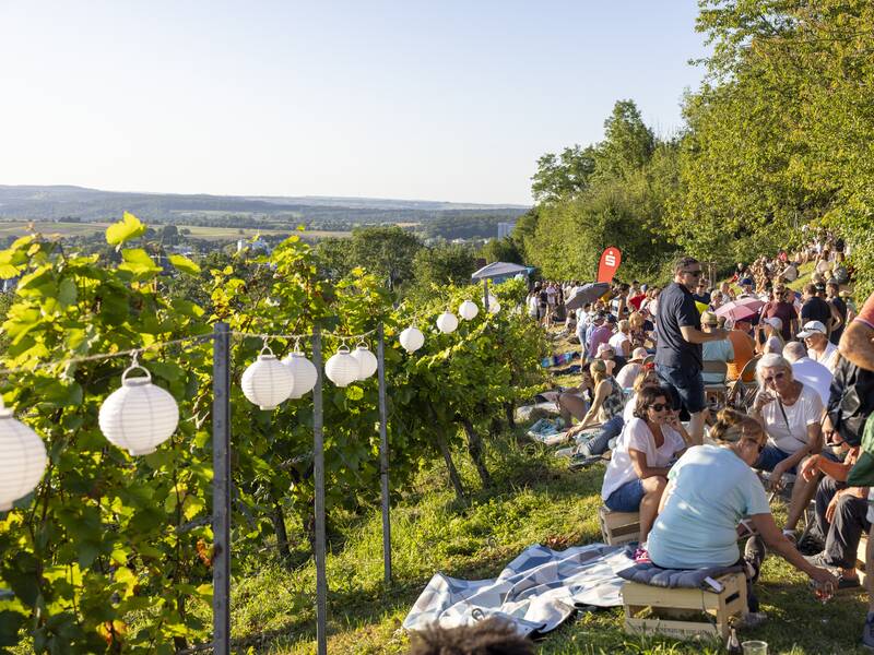 Sommerabend in den Weinbergen Metzingen, Menschen beim Picknick, schön geschmückt mit Lampions.