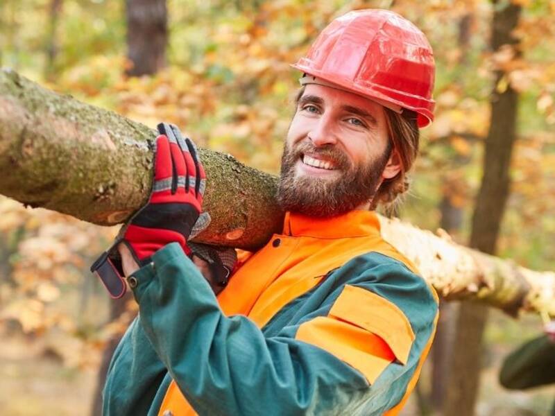 Hier sind zwei Männer in Arbeitskleidung zu sehen, die einen Baumstamm tragen. Der Mannim Vordergrund ist sehr klar zu sehen. Der Mann in Hintergrund ist verschwommen zu sehen.