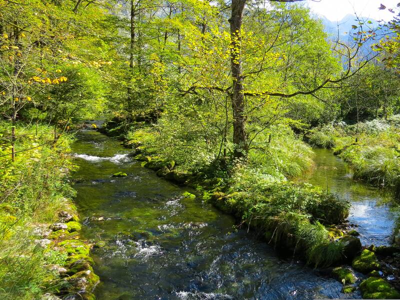Flussbett umrahmt von Bäumen, Gewässer, Natur.