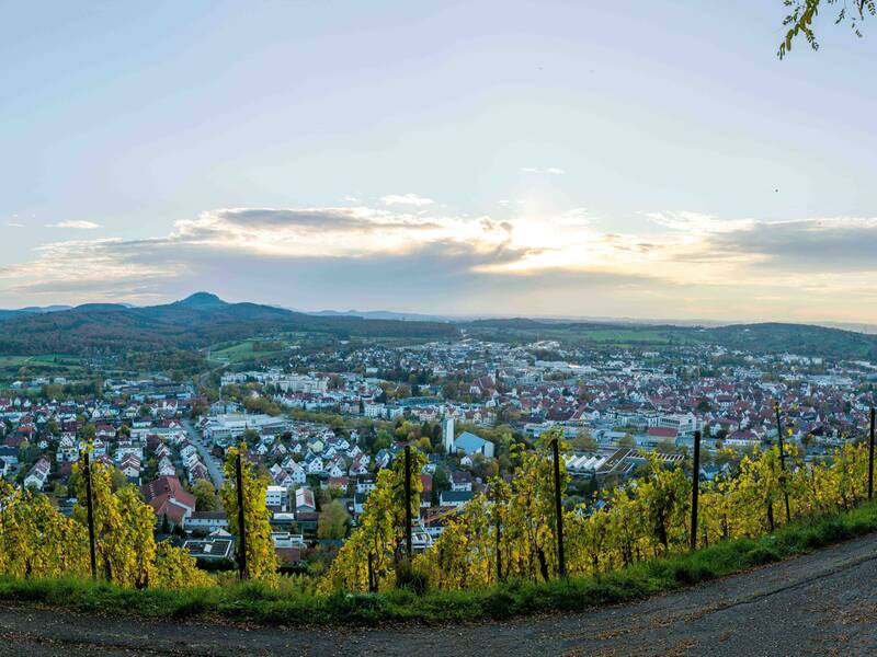 Weitblick über Metzingen von den Metzinger Weinbergen 