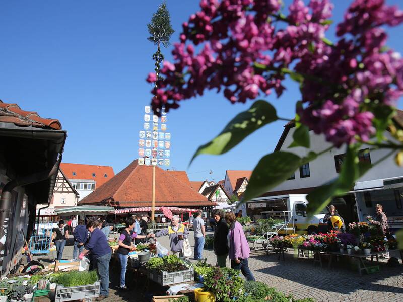 Auf einem Marktplatz mit Maibaum und blühendem Flieder im Vordergrund kaufen Menschen bei sonnigem Wetter an Blumen- und Pflanzenständen ein.