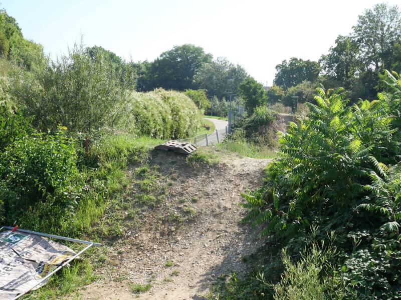 Ein unbefestigter, mit Pflanzen bewachsener Weg führt zu einem kleinen Hügel, auf dem Holzpaletten liegen, mit einem asphaltierten Pfad im Hintergrund.