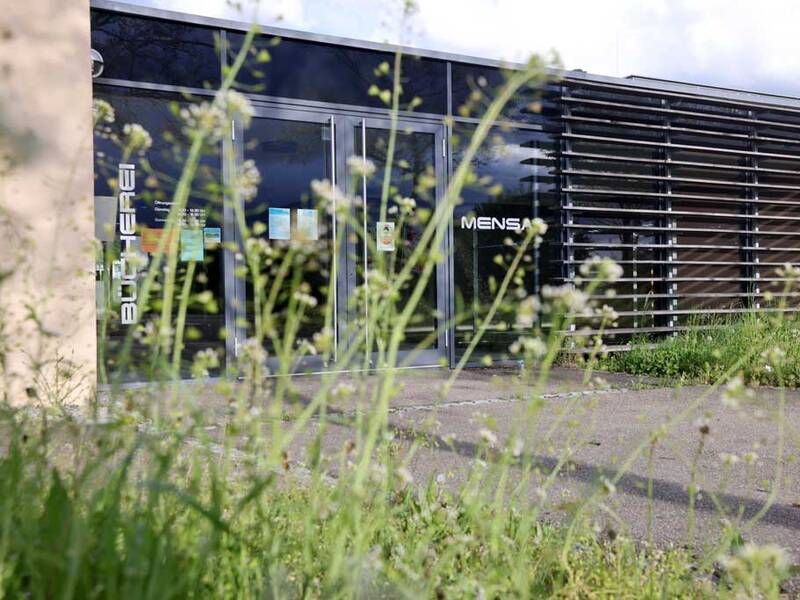 Eine Glasfassade eines modernen Gebäudes mit den Beschriftungen "Bücherei" und "Mensa", umgeben von wildem Gras im Vordergrund.