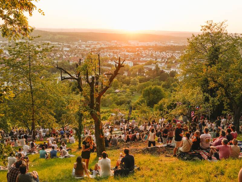 Menschen auf dem Metzinger Weinberg, die den Sonnenuntergang anschauen