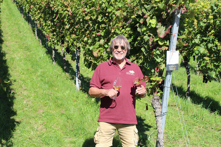 Kurt Mende Ein Mann mit Sonnenbrille steht in einem Weingarten und hält ein Glas Wein.