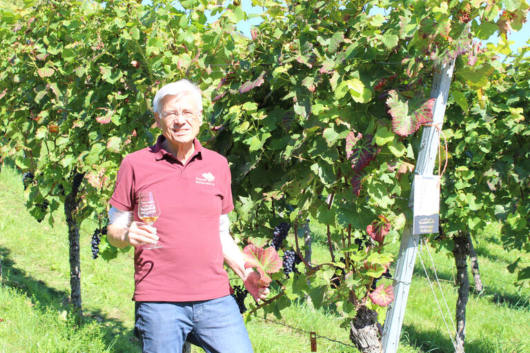 Martin Schadenberger Ein Mann steht mit einem Weinglas in der Hand in einem sonnigen Weinberg neben einer Reihe von Reben.