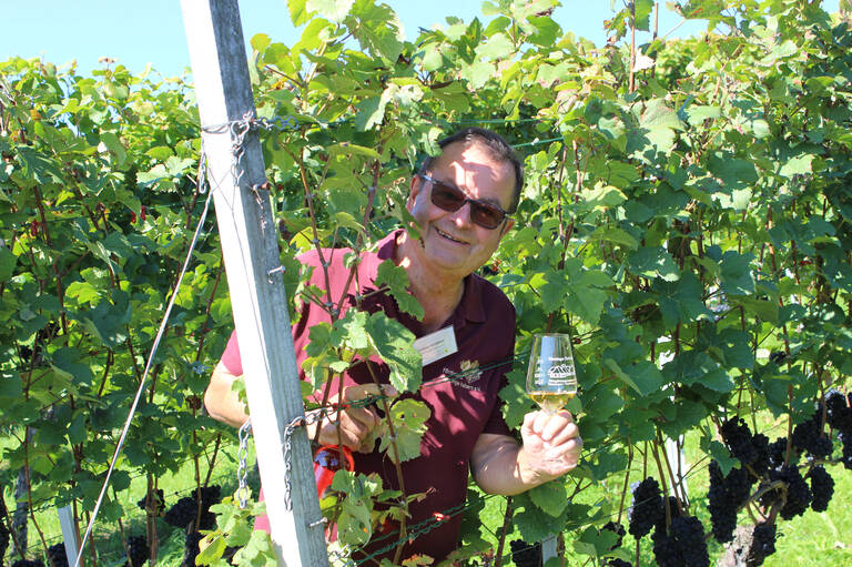 Günther Weiblen Ein Mann in einem Weinberg hält ein Glas Weißwein und lächelt in die Kamera.
