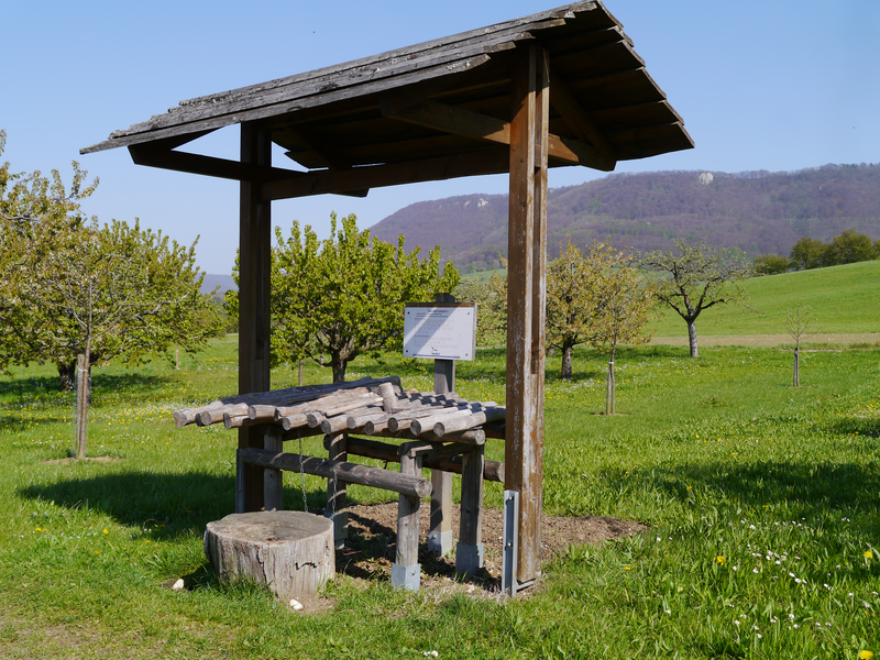 Ein hölzernes Xylophon mit einem Dach steht in einer grünen Wiese vor einem Hintergrund aus Bäumen und einem Hügel.