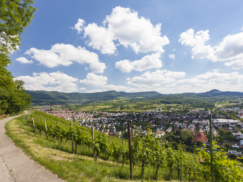 Ein Panorama zeigt eine hügelige Landschaft mit einem Weinberg im Vordergrund und einer Stadt im Tal unter einem blauen Himmel mit weißen Wolken.